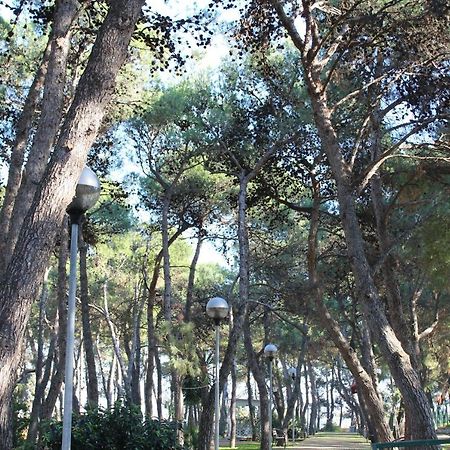 Bed and Breakfast La Pigna Ruvo di Puglia Exterior foto