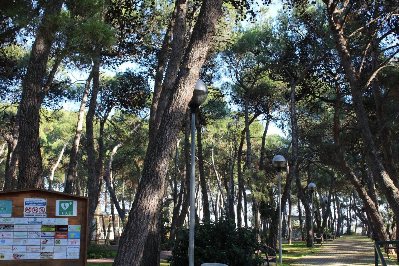 Bed and Breakfast La Pigna Ruvo di Puglia Exterior foto